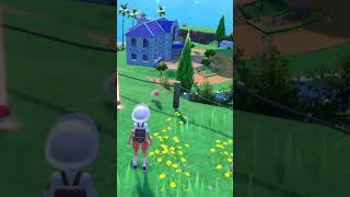 柵にとらわれる ヤヤコマ #shorts #ポケモンsv #碧の仮面 #碧の円盤