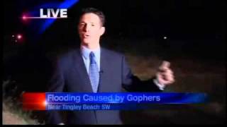 Gophers cause Valencia Co. flooding