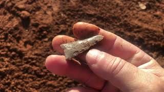 Arrowhead hunting, beautiful flint weapons made by the Indians to kill food! 1-8-22