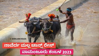 Nayerda Malla Channce Race | Vamanjoor Kambala 2023 | Namma Kambala