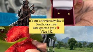 தமிழில்😍Unexpected gifts exchange | Dissapointed trip😓 Senthoora tree தெரியுமா!!! Temple vibes 😇