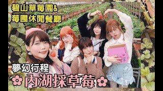 【子子】春天夢幻行程(✿ﾟ▽ﾟ)🍓跟我們一起採草莓🍓！【Vlog】內湖採草莓 | 碧山草莓園 | 莓圃休閒餐廳