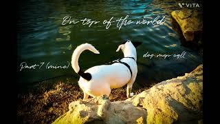 *OPEN* •on top of the world• dog mep call • 9/14 taken