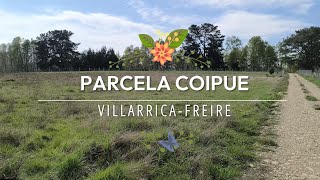 Parcela 5.000m² Coipue ruta Villarrica-Freire