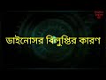 ডাইনোসর বিলুপ্তির কারণ ও রহস্য the reason of extinction of dinosaur why dinosaur disappeared