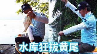 野釣東江鯪魚，2斤重的魚竟也有巨力，不一會就釣滿魚護【天元邓刚】