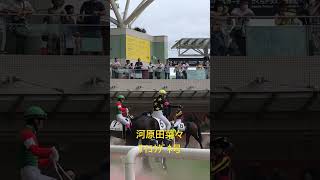 河原田菜々　ｻｲｺｳﾀﾞﾈ号　パドック風景①（20230923阪神競馬1R）