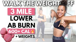 3 Mile SWEATY Lower Belly Fat Walking Workout with Weights (Burns over 600 Calories)!