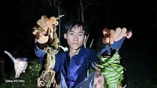 VLogs Hương Tiến-Khám phá Sự Huyền Bí của Rừng Đêm: Theo Dõi Hương và Tiến