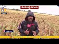 వరదపాలైన వరి పంట damage crop thotlavalluru