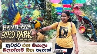 hanthana international bird park - නුවර කුරුලු පාරාදිසය 😍😍😍