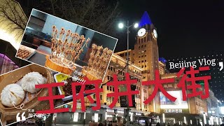 【Vlog】北京Beijing EP13 王府井大街 狗不理包子 王府井小吃街