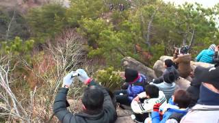 2013年 初日の出 倉敷・児島 鷲羽山山頂