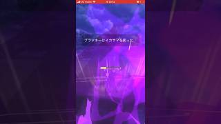 【ポケモンGO】ブイズ最強ポケモンブラッキー、運ゲー回避して前代未聞の2タテ達成(シングルカップ)#ポケモンgo #goバトルリーグ #shorts