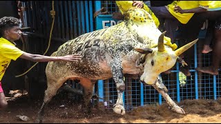 2023 மருதாந்தலை ஜல்லிக்கட்டு Hilights, Maruthanthalai Jallikkattu, @trendingjallikattu360