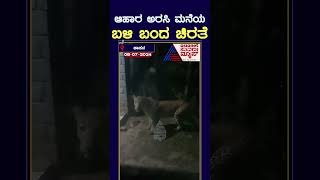 ಆಹಾರ ಅರಸಿ ಮನೆಯ ಬಳಿ ಬಂದ ಚಿರತೆ #Shorts #cheetah #RainNews #SuvarnaNews