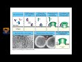 patho pharm 1 inflammation and immunity