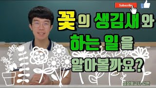 |초등과학| 6학년 1학기, 4단원 식물의 구조와 기능, 꽃의 생김새와 하는 일을 알아볼까요? |꽃의 구조|꽃가루받이|풍매화|수매화|충매화|조매화|암술|수술|꽃잎|꽃받침|