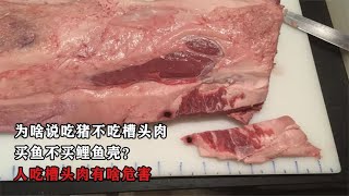 为啥说吃猪不吃槽头肉，买鱼不买鲤鱼壳？人吃槽头肉有啥危害