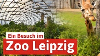 Zoo Leipzig - Städtereise mit Elefant, Tiger \u0026 Co.