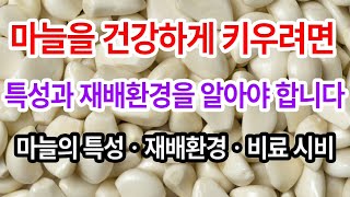 마늘의 특성과 재배환경, 토양 PH 교정방법까지