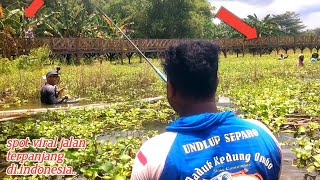 Semua Pada Heran melihat saya mancing ‼️Di pantat aja bisa dapat ikan...banyak wanita lihat saya..