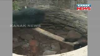 3 Bears Rescued From Well By Villagers In Koraput