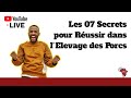 7 Etapes pour Réussir dans l'Elevage des Porcs en Afrique (replay du webinaire)