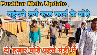 सुबह-सुबह मंडी के ताजा हाल कितने घोड़े आ चुके हैं अब तक || Pushkar Mela