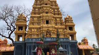 Jaffna , Kaladdy Amman Kovil.கொடியேற்ற காணொளி  தொகுபபு.