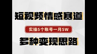 短视频情感赛道，实操5个号每月变现5万，保姆级项目拆解