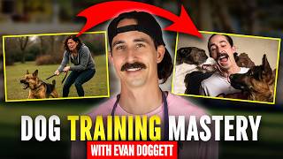 The Overlooked Solution That Can Fix Your Dog S Behavior Issues