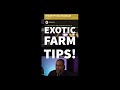 Top 3 Tips for Exotic Farming | Destiny 2 Season of the Lost [Season 15] #shorts