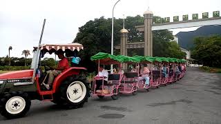 國花幼兒園花東三日遊-池上長虹遊園拉拉車2020年7月29日