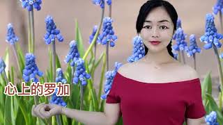 这首情歌太好听了！dj版《花心的人我问你》旋律优美动感节凑