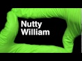 How to Pronounce Nutty William