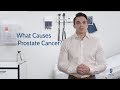 What Causes Prostate Cancer?