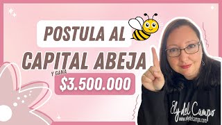 🌟Cómo postular al CAPITAL ABEJA de Sercotec 🏆