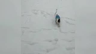 Maylo sees snow for the first time