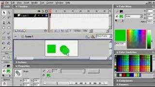 Flash MX Basics