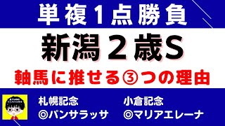 #1158【単複１点勝負 新潟２歳S 2022】狙いたい3つの理由 にしちゃんねる 馬Tube