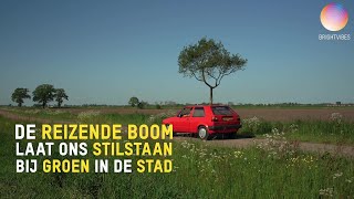 De 'Reizende Boom' laat ons stilstaan bij het groen in de stad.