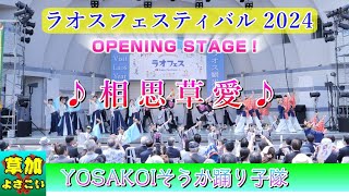 YOSAKOIそうか踊り子隊 - 相思草愛 [2024.05.25 ラオスフェスティバル]