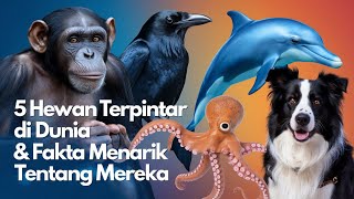 5 Hewan Terpintar di Dunia dan Fakta Mengejutkan yang Harus Kamu Tahu!