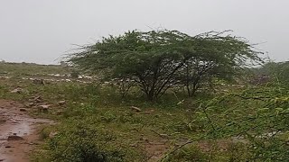 🌿ग्वालियर की एकमात्र पहाड़ी🌿प्रकृति का अद्भुत अनुभवGwl.RLY Station 7Km Golpahadiya🌿Gupteshwarपहाड़ी