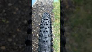 The New Maxxis Forekaster