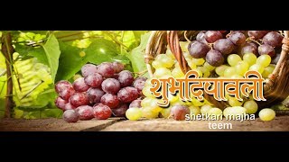 shrihari ghumare | my all grapes farmer  happy diwali