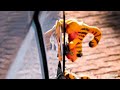 Mender_ZA ft uLazi - Promise (Vox Mix)