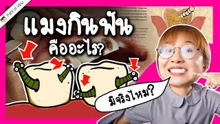 แมงกินฟันคืออะไร? มีจริงไหมในประวัติศาสตร์? | Point of View x LISTERINE