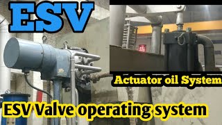 CONTROL OIL WORKING TRIVENI TURBINE HYDRAULIC OIL OPERATING OIL 8MW BACK PRESSURE TURBINE INDIAN